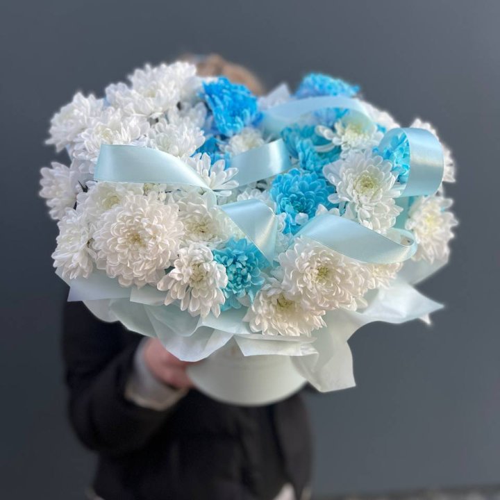 Хризнтемы в боксе в Балашихе