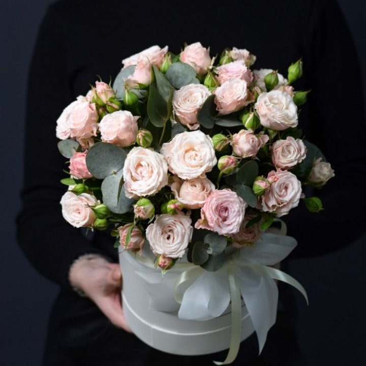 Бомбастик бокс №2 в Балашихе