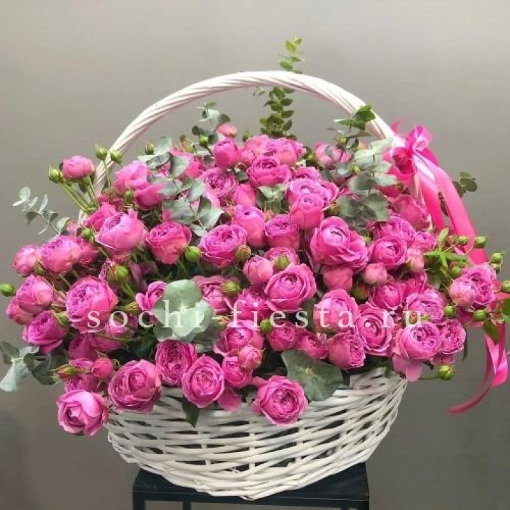 65 пионовидных кустовых роз в корзине в Балашихе