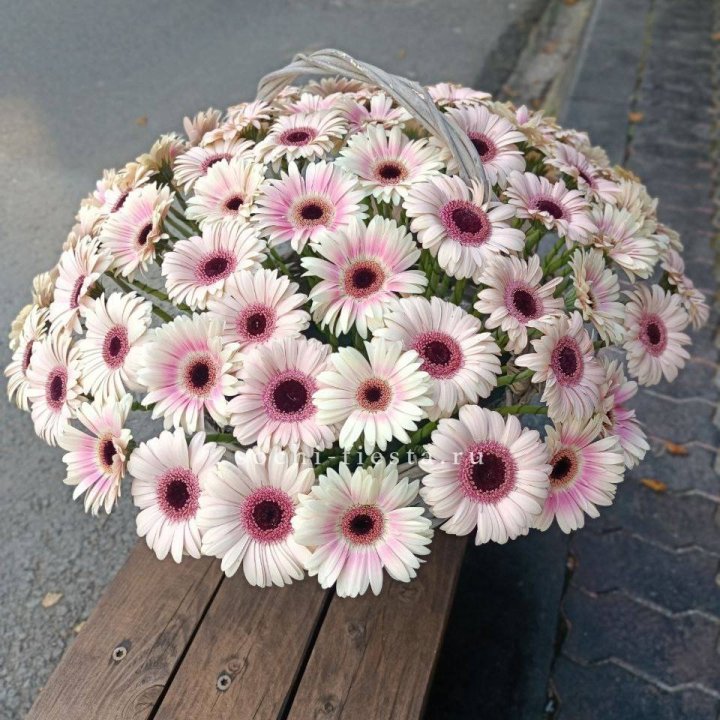 Корзина с герберами  в Балашихе