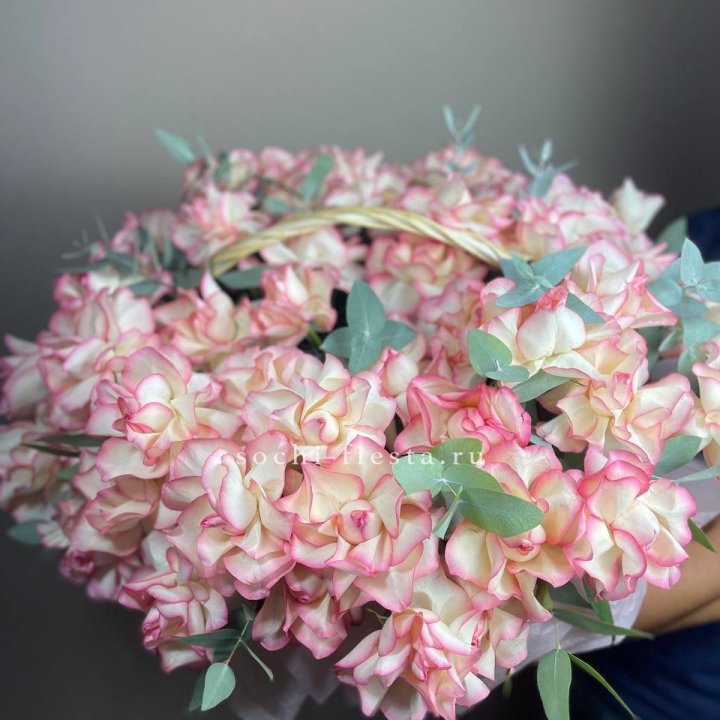 51 джумилия  в корзине   в Балашихе