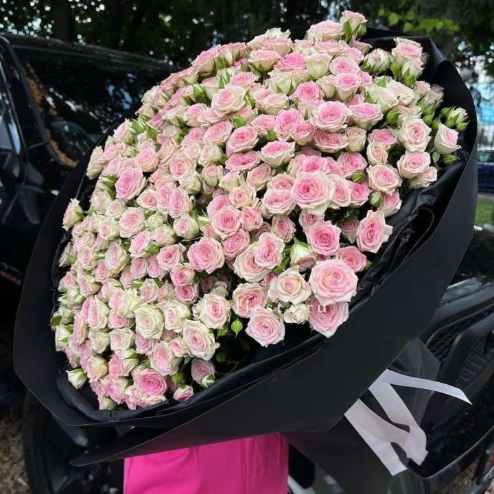 101 кустовая роза "Твистер" в Балашихе