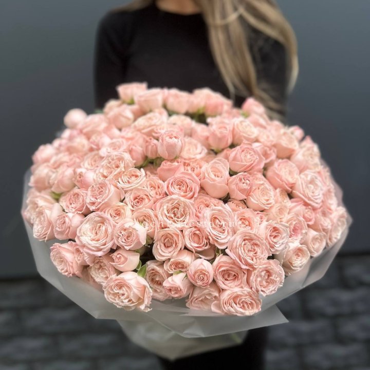 51 кустовая роза Бомбастик в Балашихе