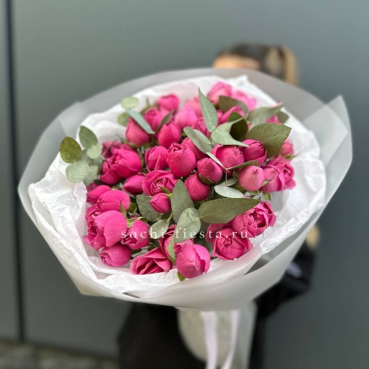 17 Мисти бабблс в Балашихе