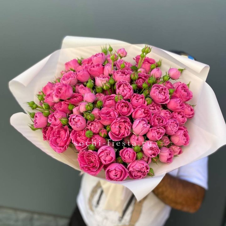 Мисти Баблс 35шт в Балашихе