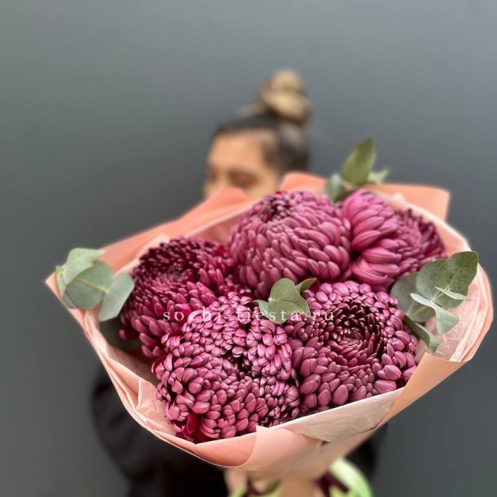 Хризантемы  Бигуди  в Балашихе