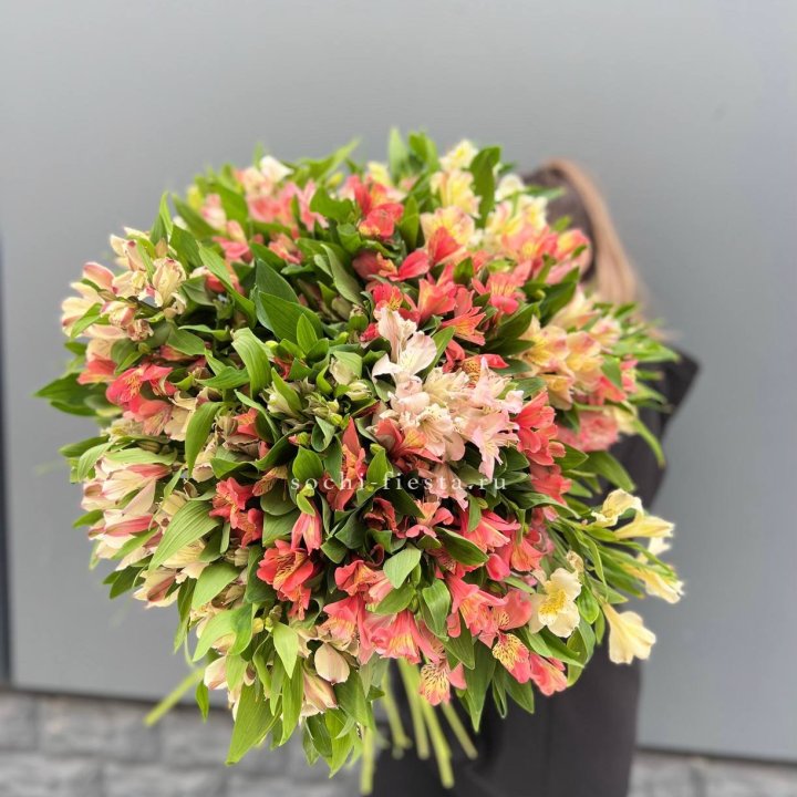 51 альстромерия в Балашихе