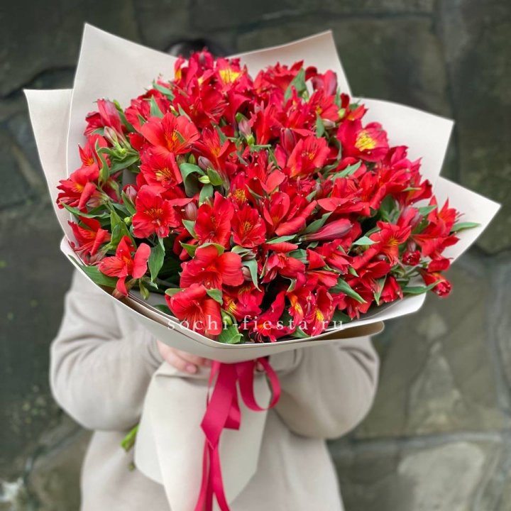 51 альстромерия в Балашихе