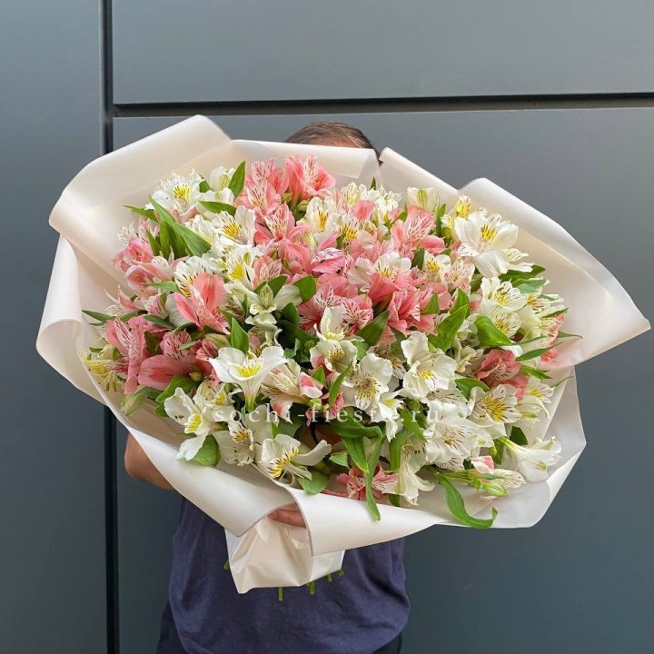 39 альстромерий в Балашихе