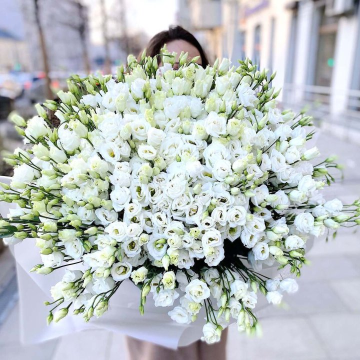 101 белая эустома в Балашихе