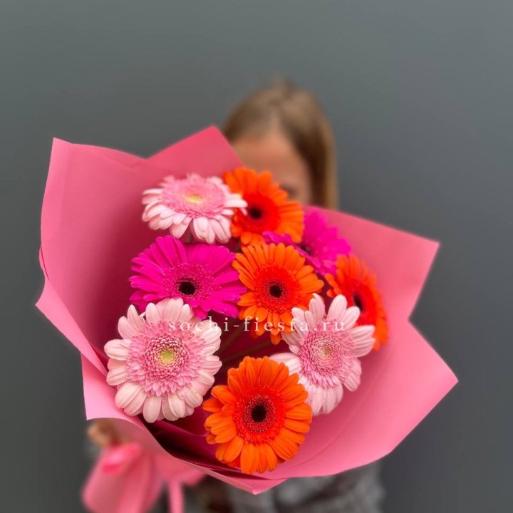 Краски в Балашихе