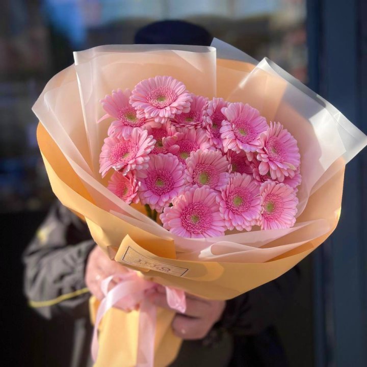 17 розовых гербер  в Балашихе