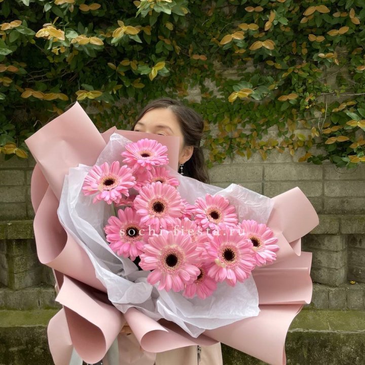 13 розовых гербер в Балашихе