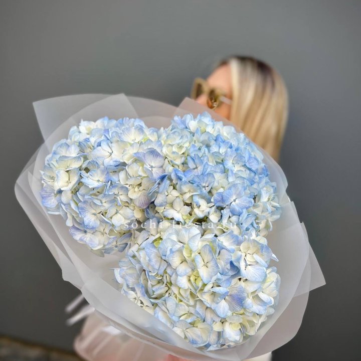 Букет из 3 голубых гортензий  в Балашихе