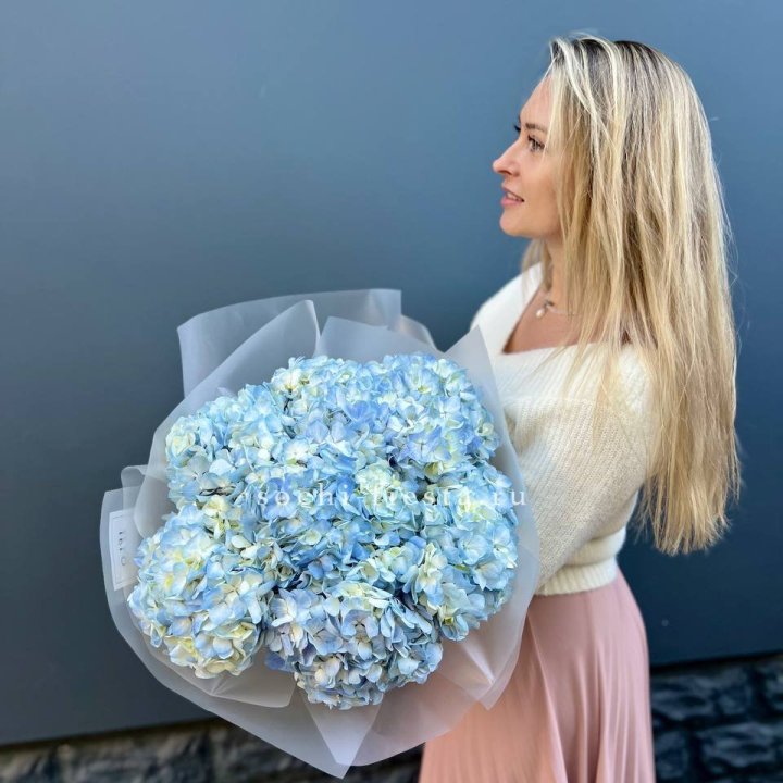 7 голубых гортензий в Балашихе