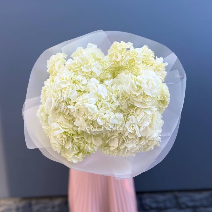 7 белых гортензий в Балашихе