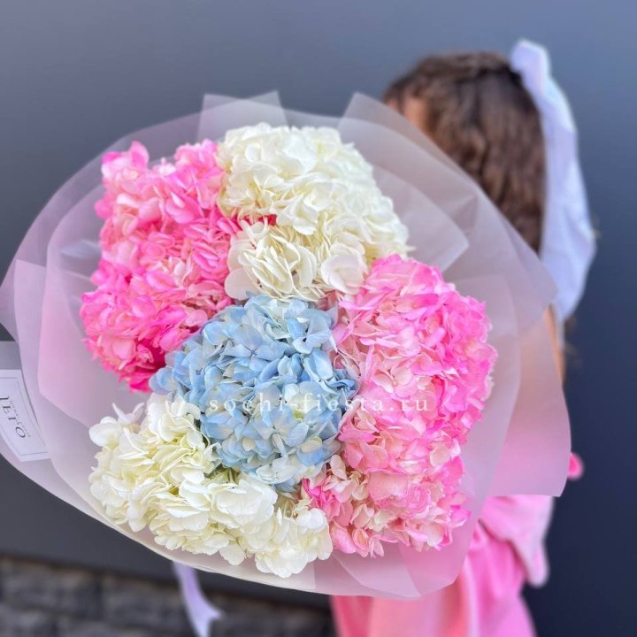 7 гортензий микс в Балашихе