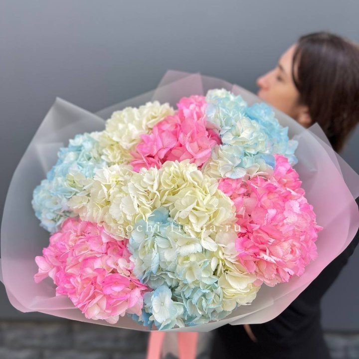 9 гортензий микс в Балашихе