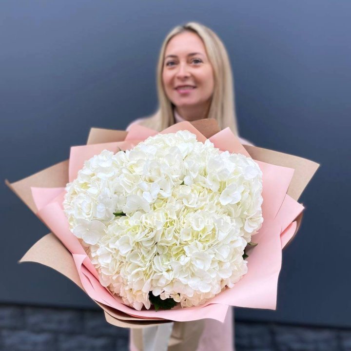 Гортензия белая в Балашихе