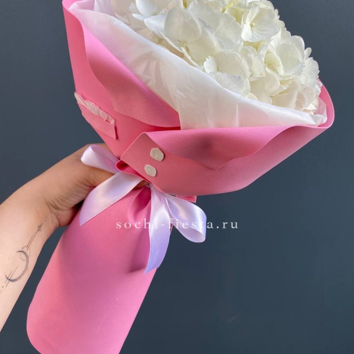 Гортензия в розовом пиджаке в Балашихе