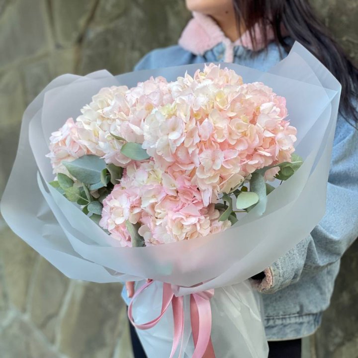 5 розовых гортензий в Балашихе