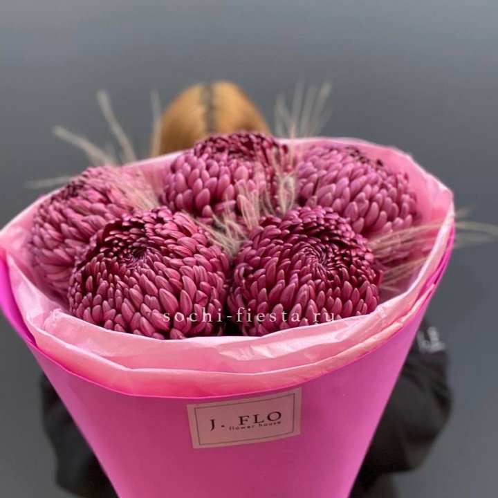 Хризантемы  Бигуди с стифой в Балашихе