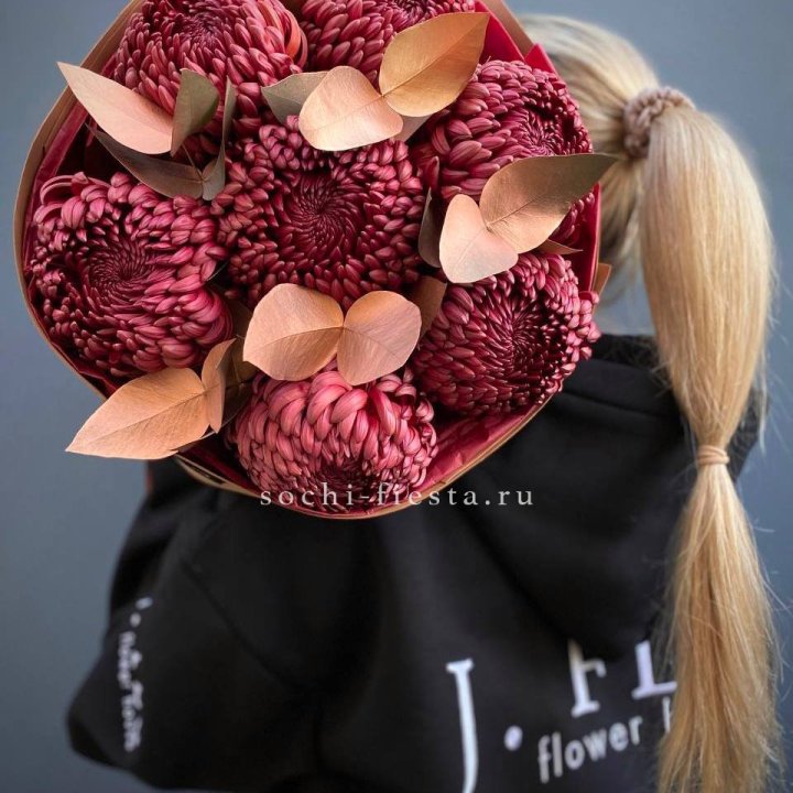 Хризантемы "Голд шоколад" в Балашихе