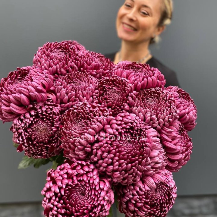 Охапка хризантем Бигуди в Балашихе