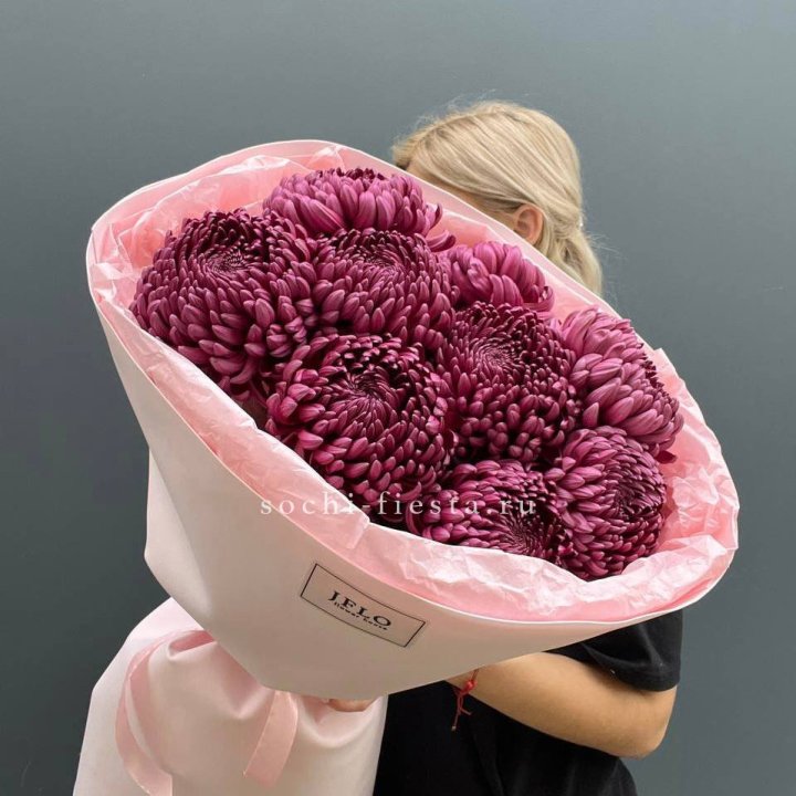 9 хризантем бигуди в Балашихе