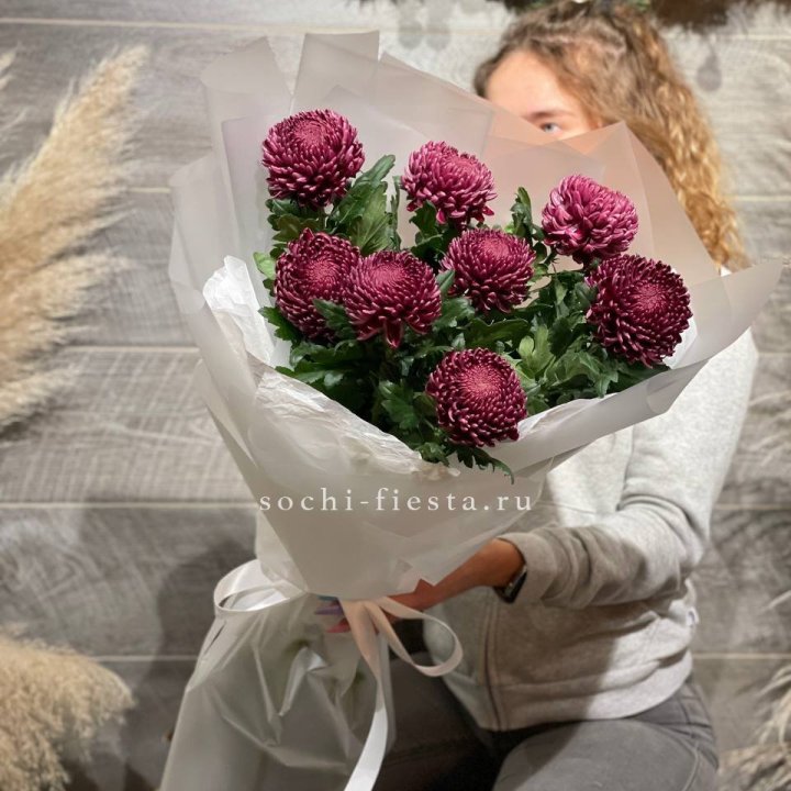 Хризантемы Бигуди в Балашихе