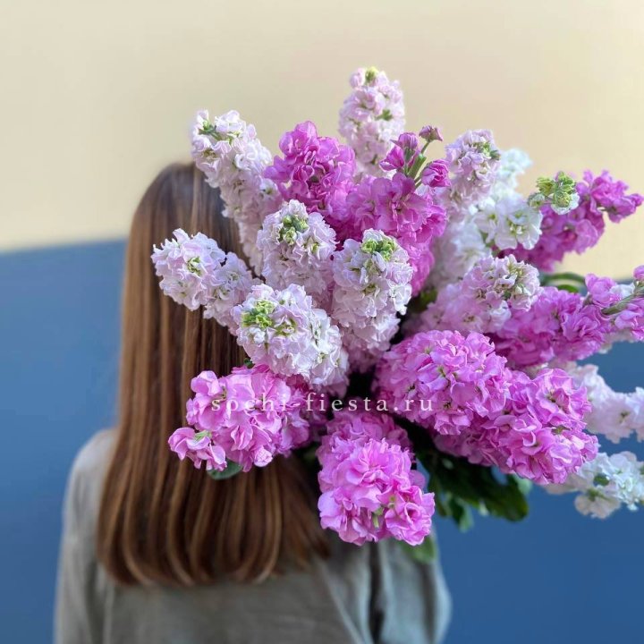 Охапка маттиолы в Балашихе