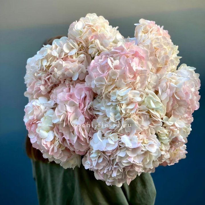Охапка розовой гортензии в Балашихе