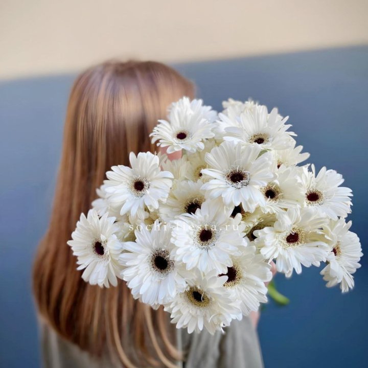 Охапка гербер в Балашихе