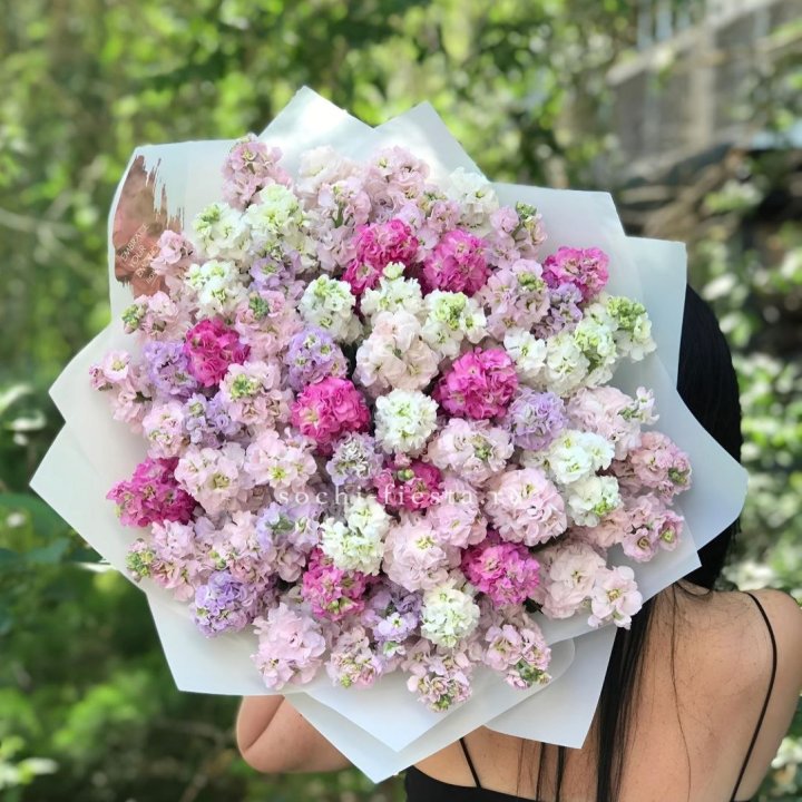 Букет ароматной маттиоллы №3 в Балашихе