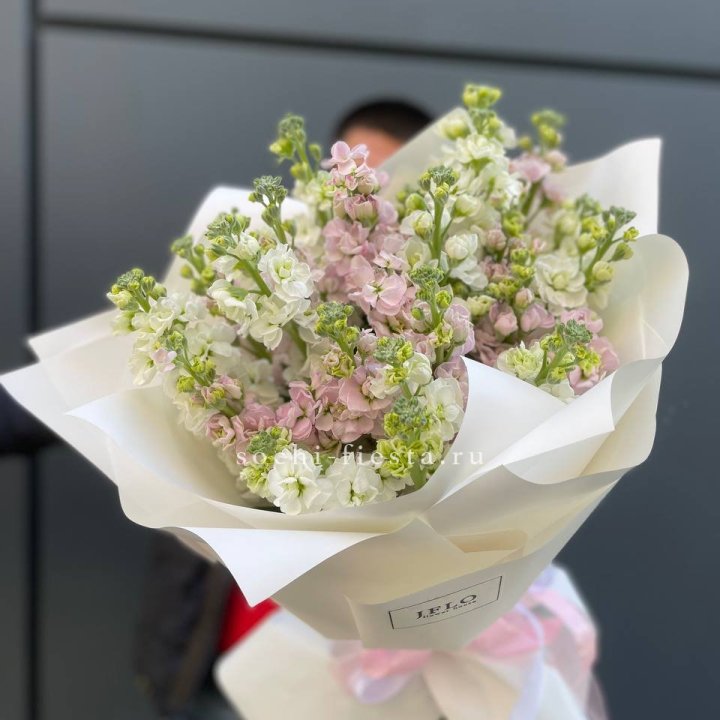 29 маттиол  в Балашихе