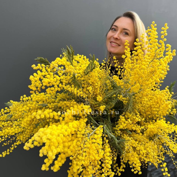 Охапка мимозы №2 в Балашихе