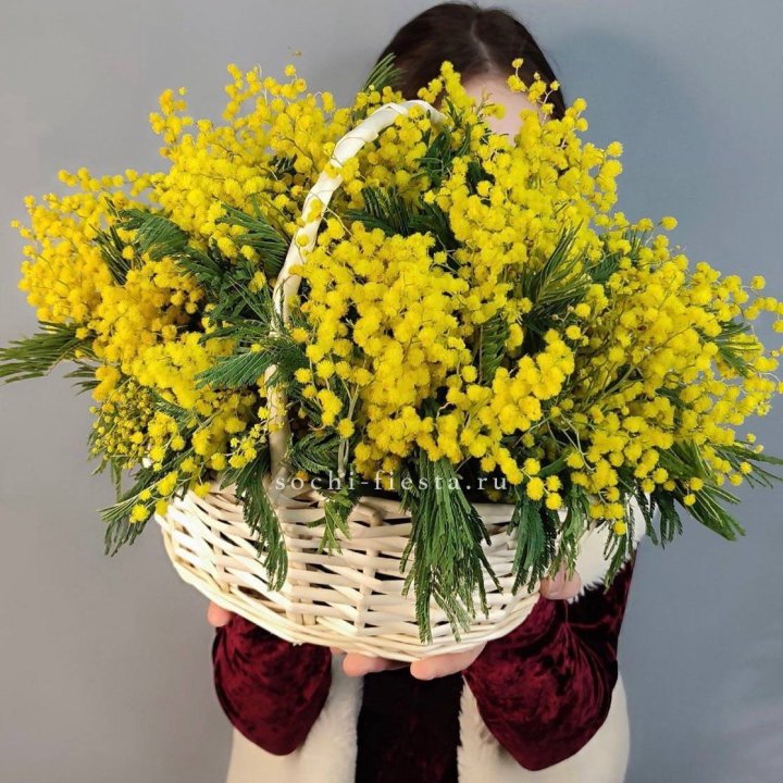 Корзина ароматной мимозы в Балашихе