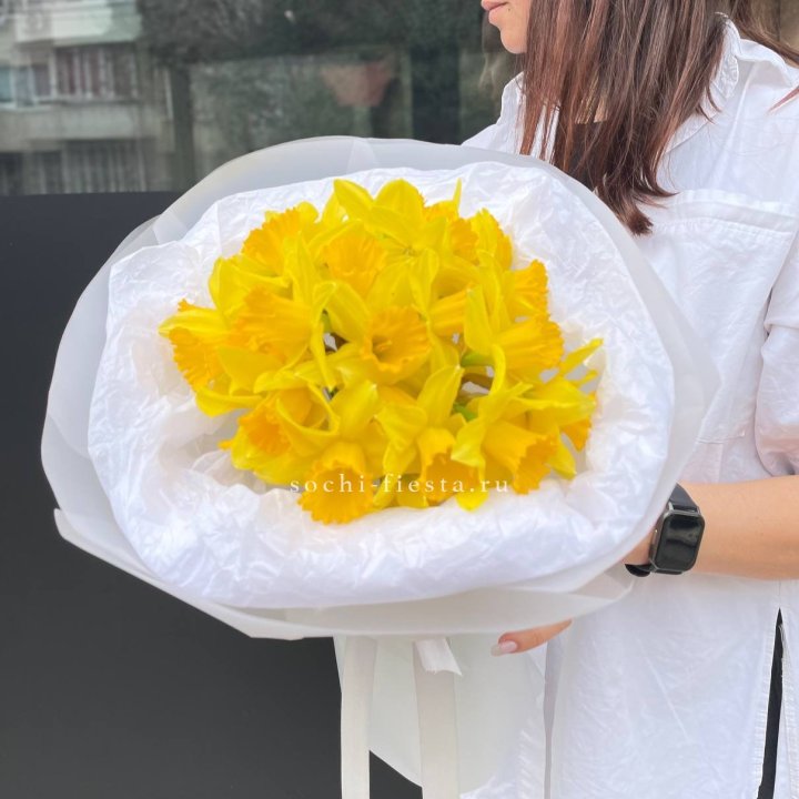 Нарциссы 25 шт в Балашихе