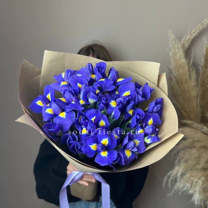 Ирисы в Балашихе