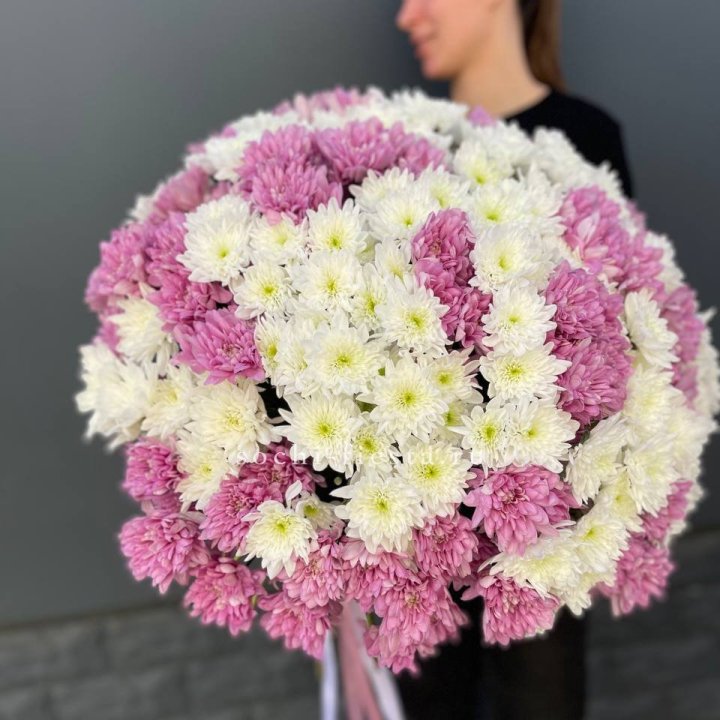  Букет 25 хризантем микс в Балашихе