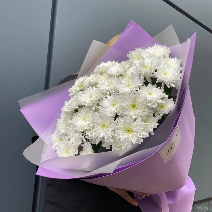  7 хризантем  в Балашихе