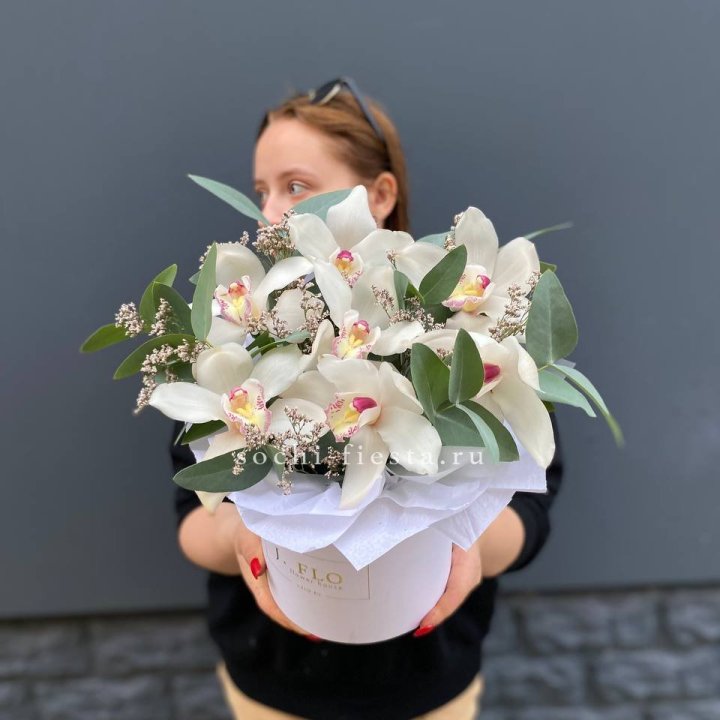 7 орхидей в боксе в Балашихе