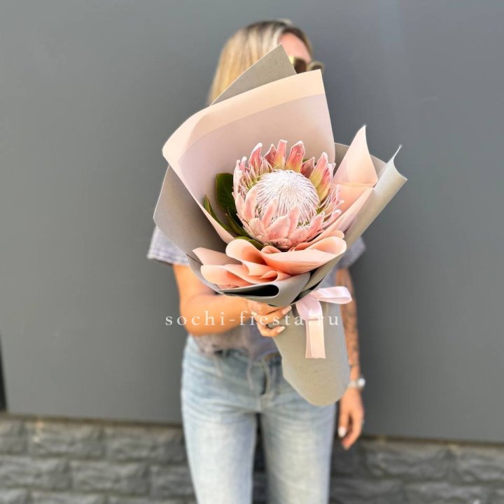 Протея мини  в Балашихе