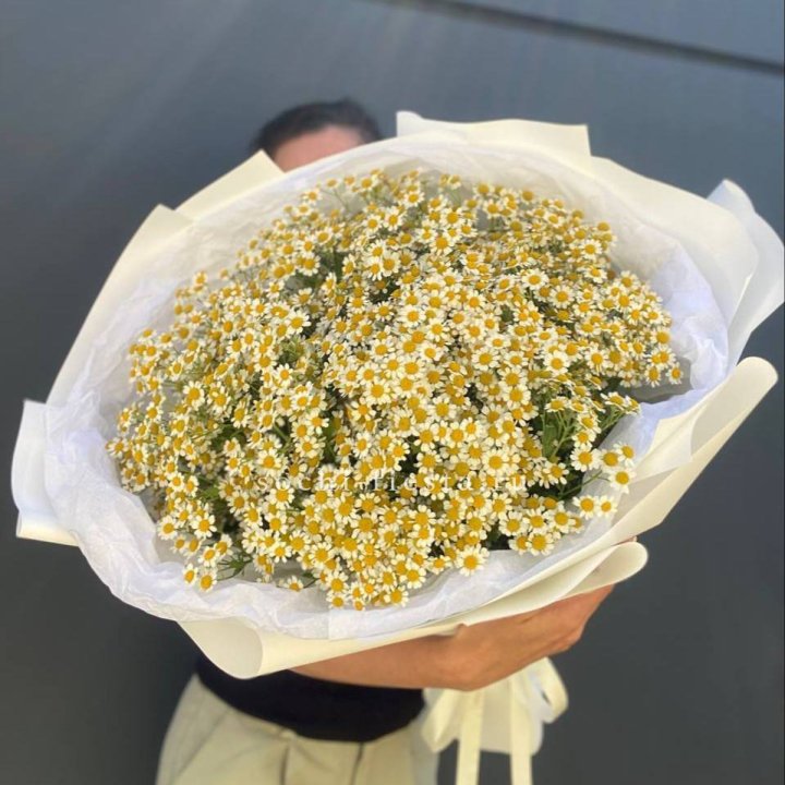Букет ромашек №2 в Балашихе