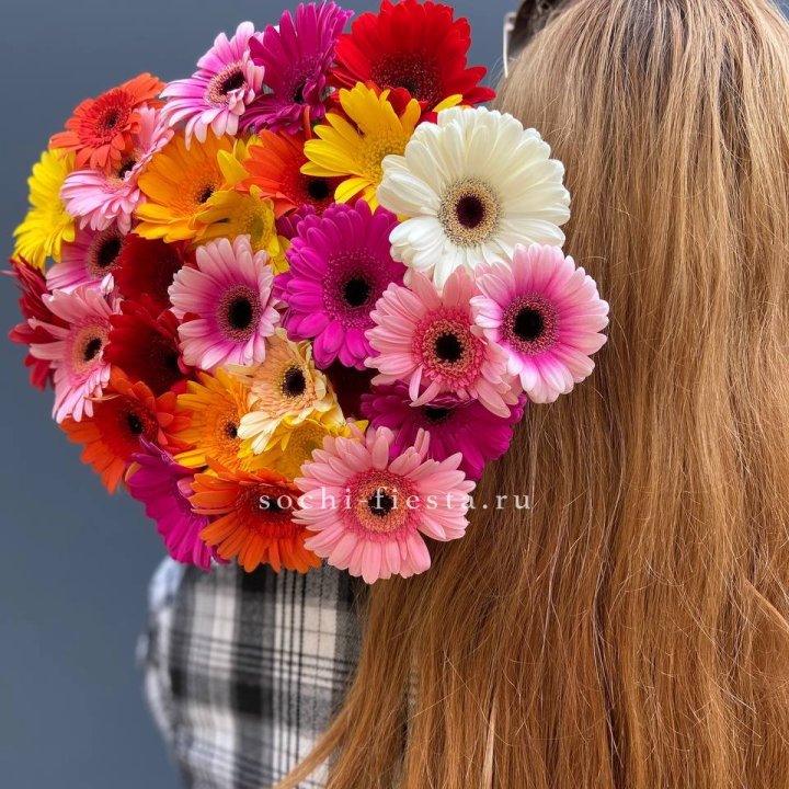 Охапка гербер  в Балашихе