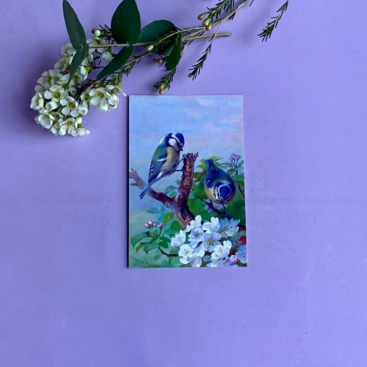 Открытка к букету "Птицы" в Балашихе