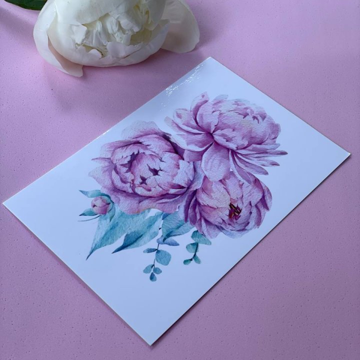 Открытка к букету "Пионы" в Балашихе