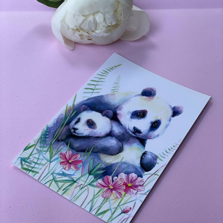 Открытка к букету "Объятие Панды" в Балашихе
