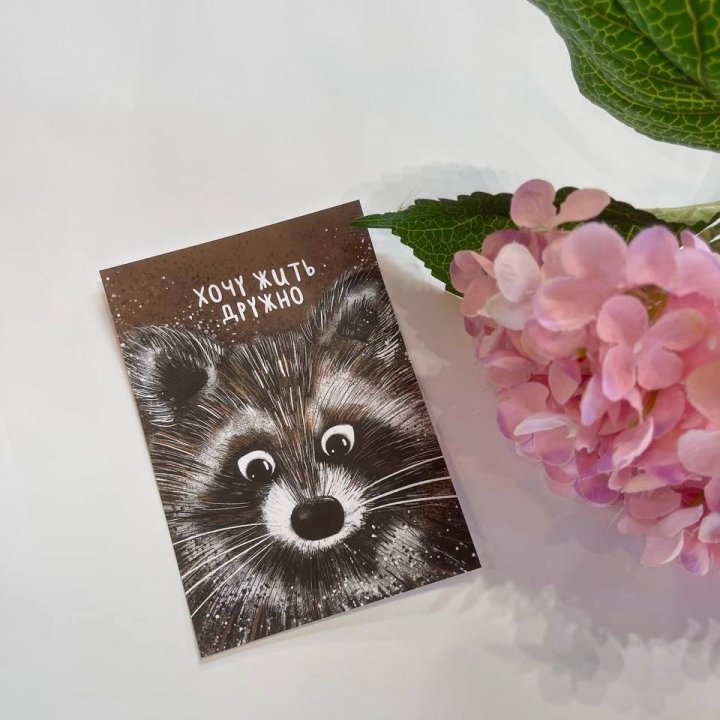 Открытка к букету "Енотик" в Балашихе