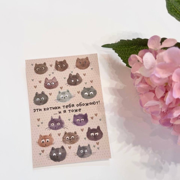 Открытка к букету "Котики" в Балашихе